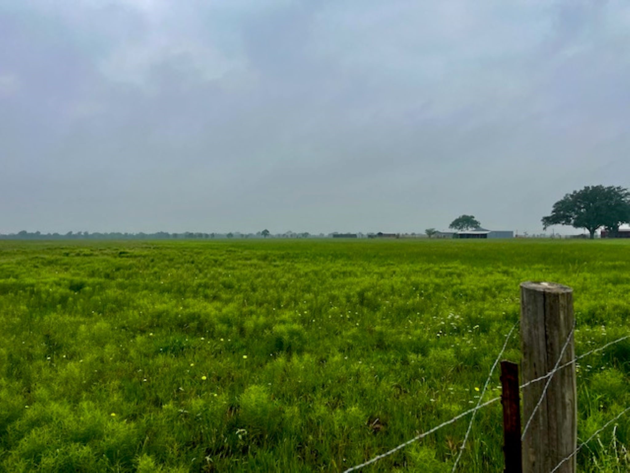 3575 Fm 1094 Road Sealy, TX 77474 - Photo 13 of 17 a view of yard with green space