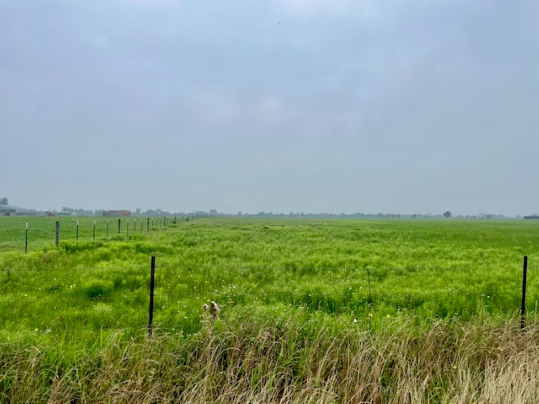 3575 Fm 1094 Road Sealy, TX 77474 - Photo 15 of 17 a view of field with grass and trees