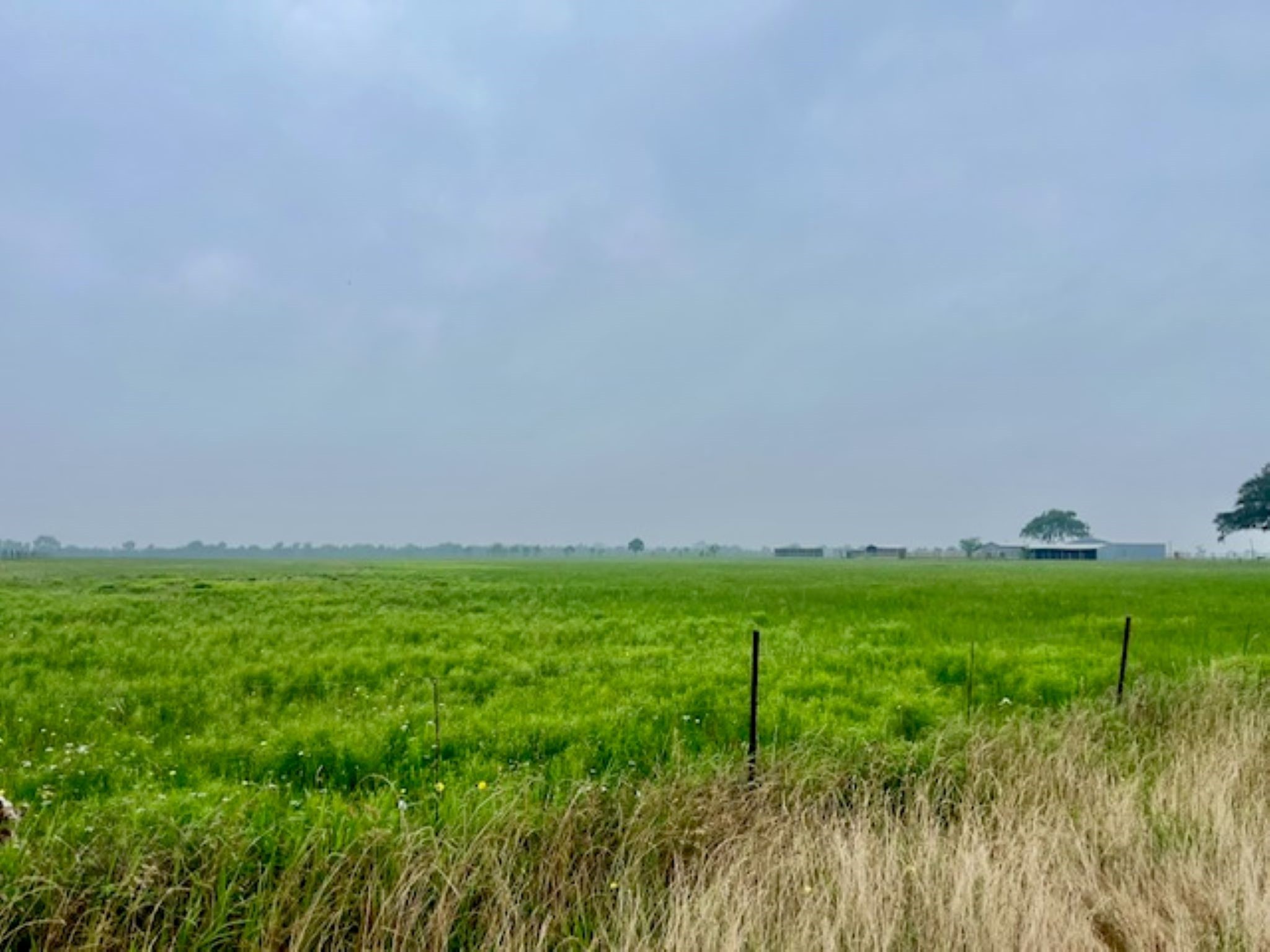 3575 Fm 1094 Road Sealy, TX 77474 - Photo 16 of 17 a view of a field with plants and trees in the background