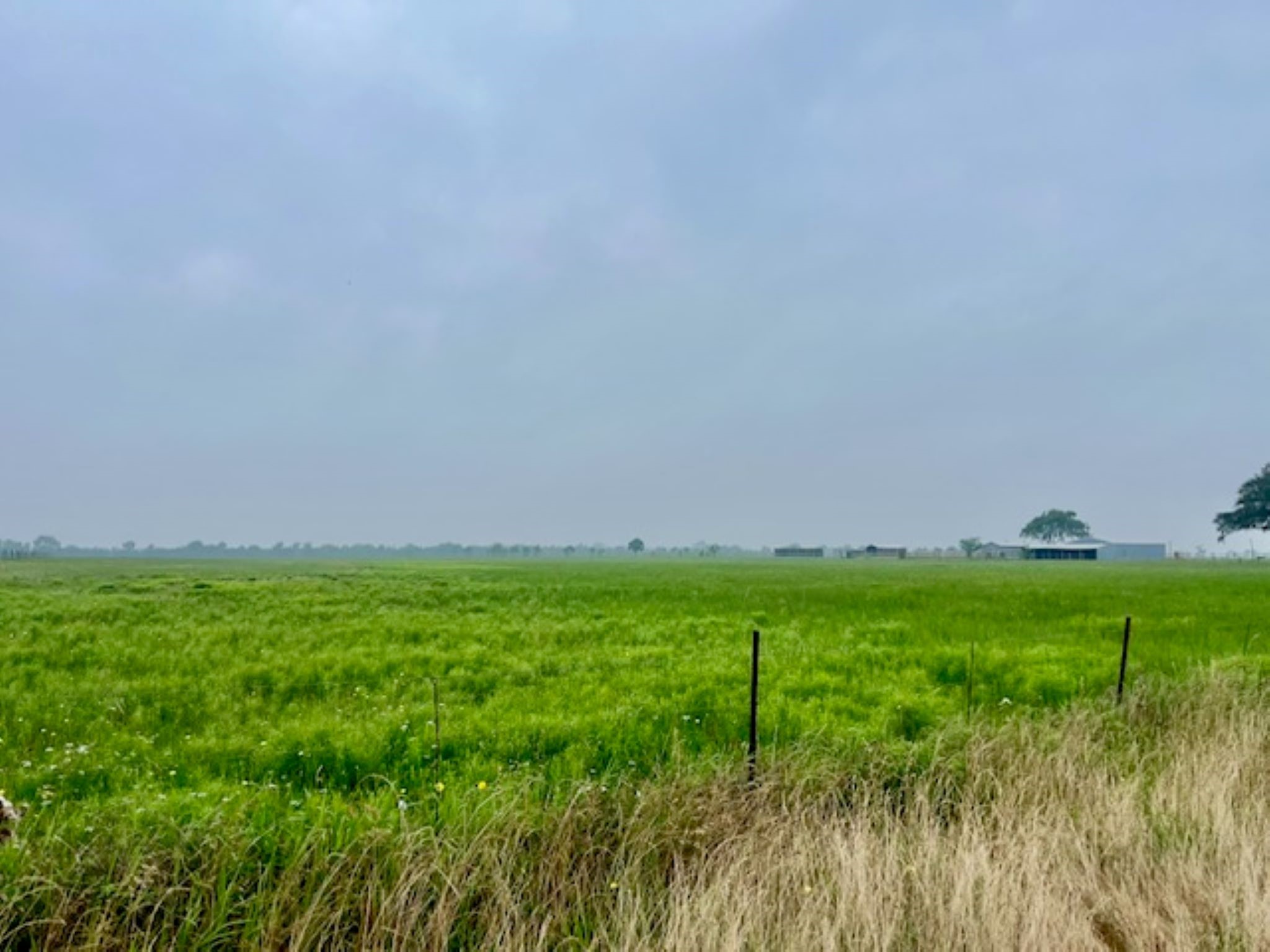 3575 Fm 1094 Road Sealy, TX 77474 - Photo 16 of 17 a view of a field with plants and trees in the background