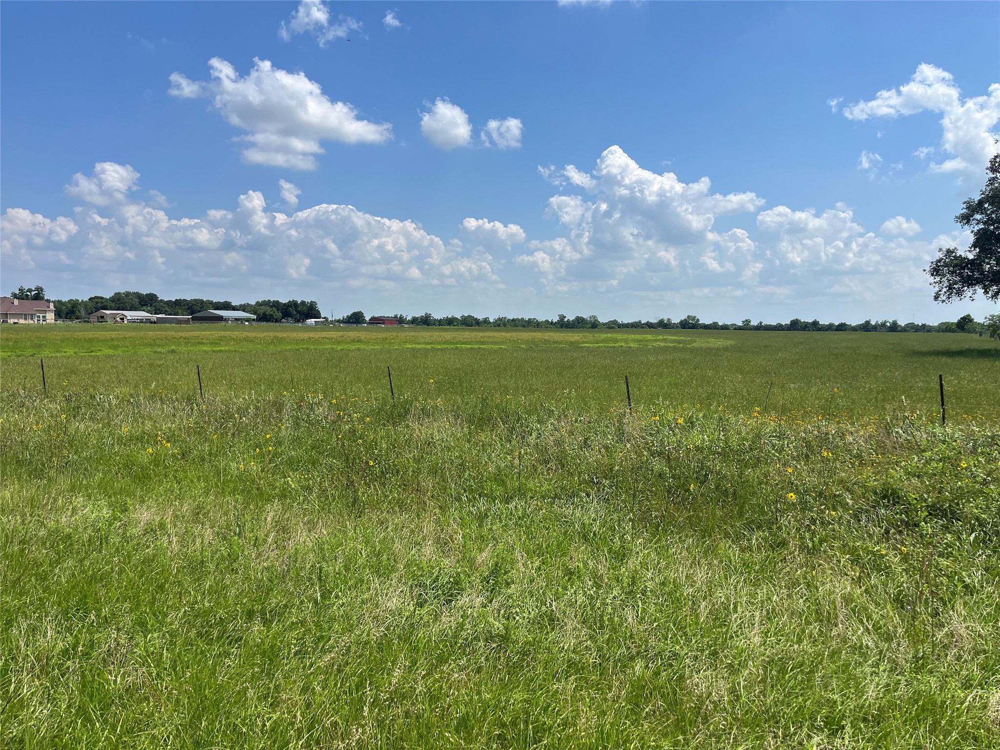 3575 Fm 1094 Road Sealy, TX 77474 - Photo 5 of 17 a view of a lake in middle of the town