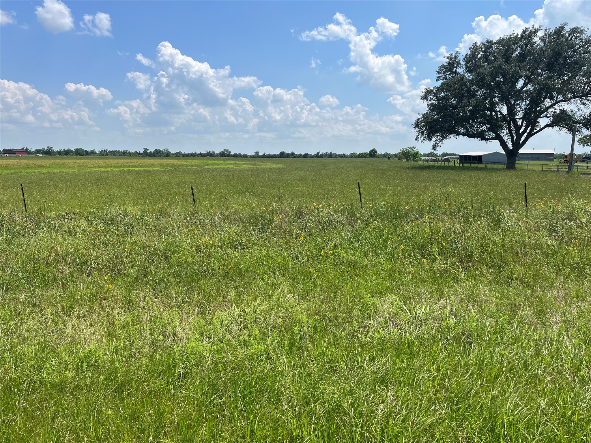 3575 Fm 1094 Road Sealy, TX 77474 - Photo 6 of 17