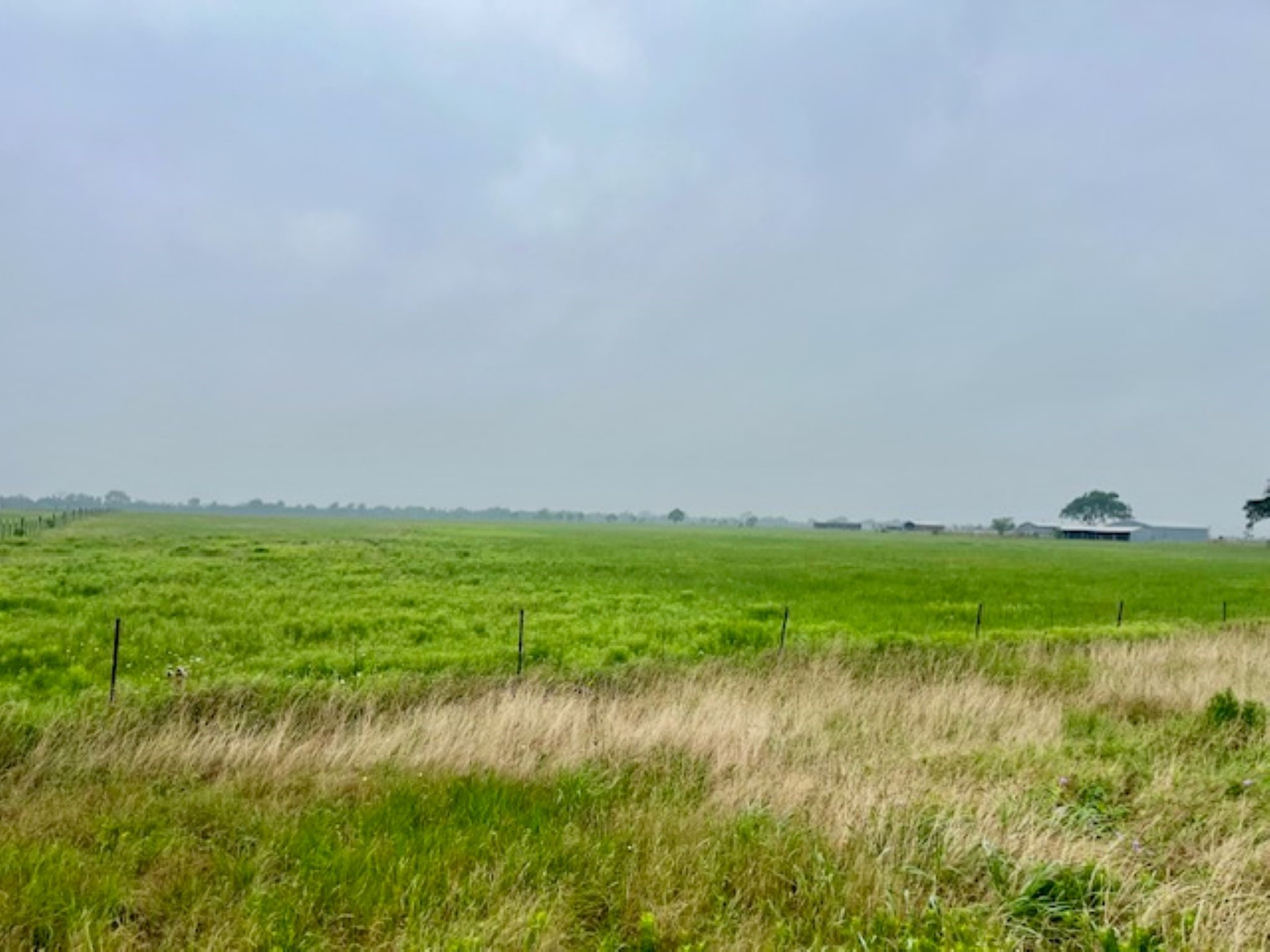 3575 Fm 1094 Road Sealy, TX 77474 - Photo 10 of 17 a view of yard with green space