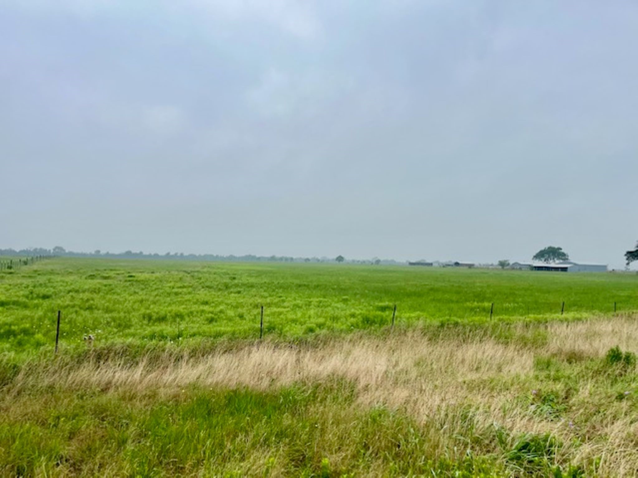 3575 Fm 1094 Road Sealy, TX 77474 - Photo 10 of 17 a view of yard with green space