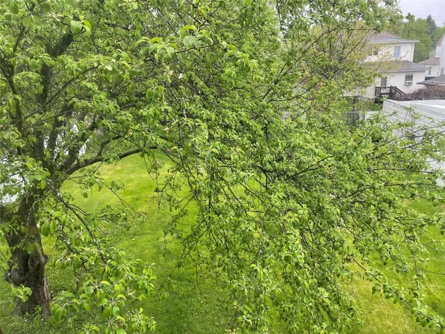 $1,250 | 14 Merrill Street, Unit 2, Binghamton, NY 13905