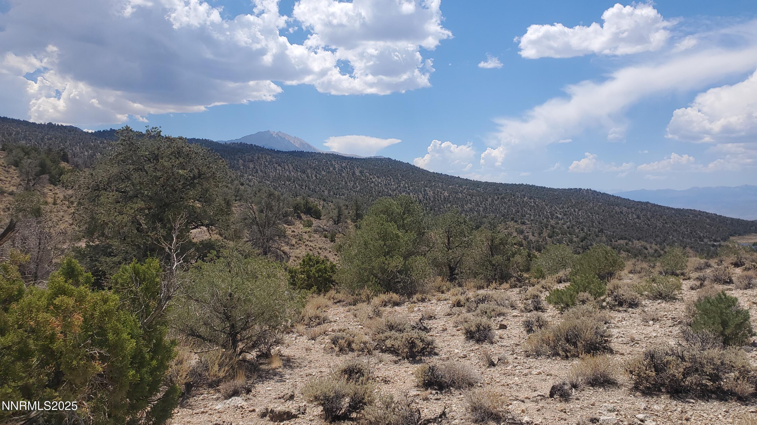 a view of a bunch of trees and covered with lots of trees