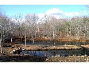 38 Parkhurst Road Merrimack, NH 03054 - Photo 4 of 5