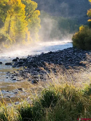 a view of a backyard with large tree