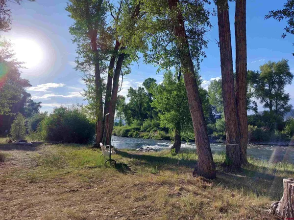 a view of a park with trees