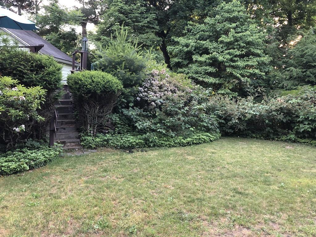 116 Newton Road Springfield, MA 01118 - Photo 6 of 30