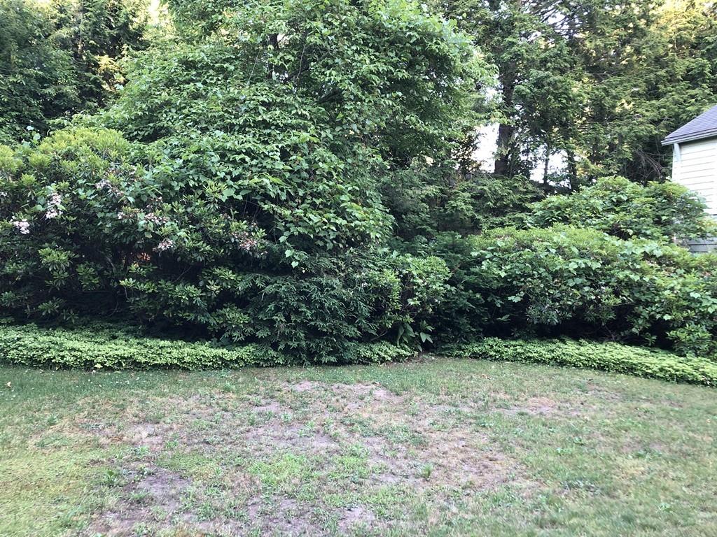 116 Newton Road Springfield, MA 01118 - Photo 7 of 30