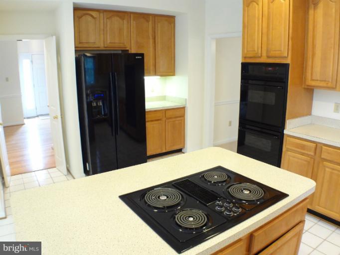 3535 Rippling Way Laurel, MD 20724 - Photo 3 of 28 Kitchen #4