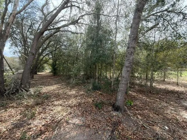 $239,000 | 8330 Northeast 113 Lane, Bronson, FL 32621