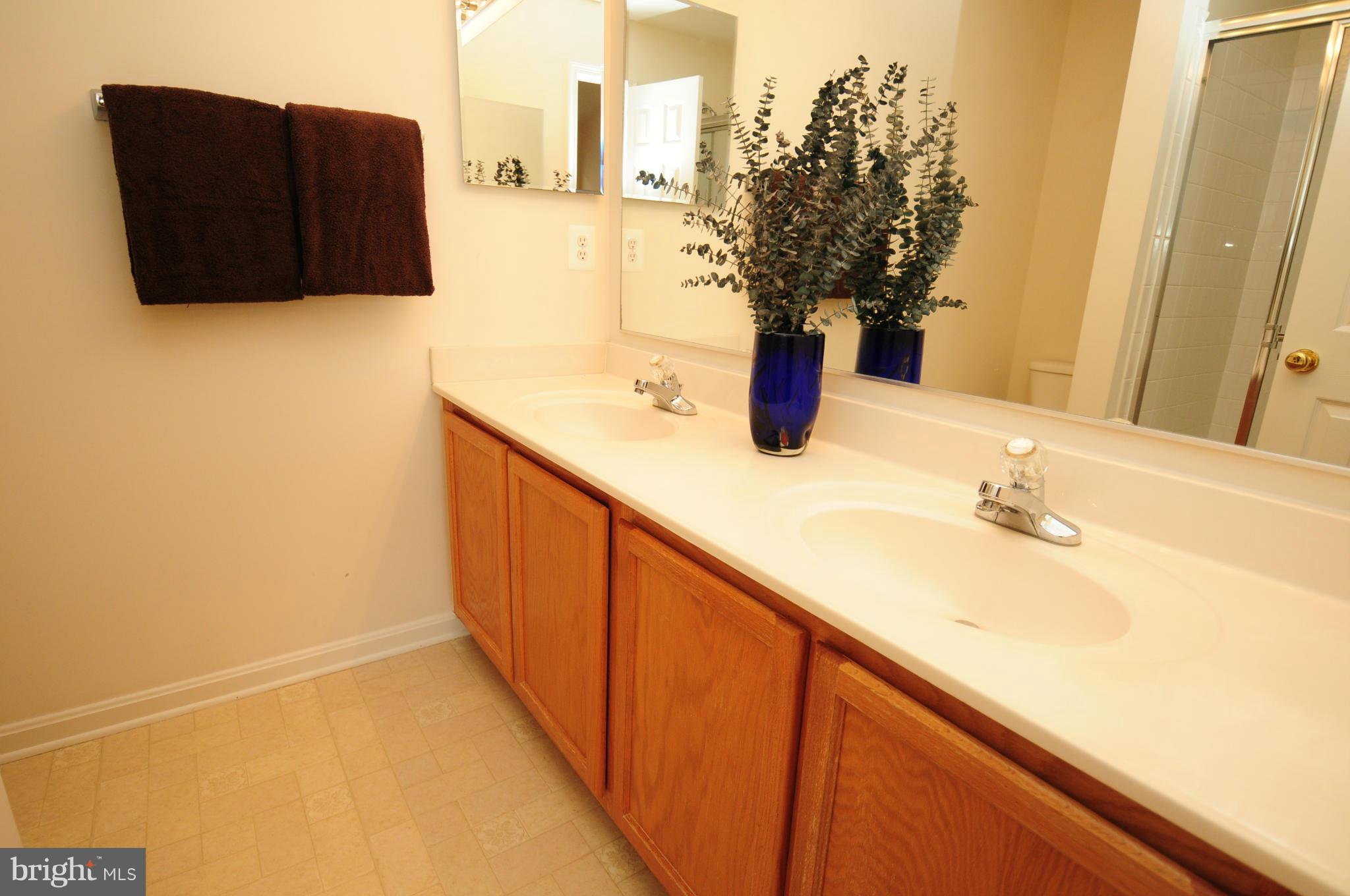 20860 Rockingham Terrace Sterling, VA 20165 - Photo 7 of 19 Bath (Master)