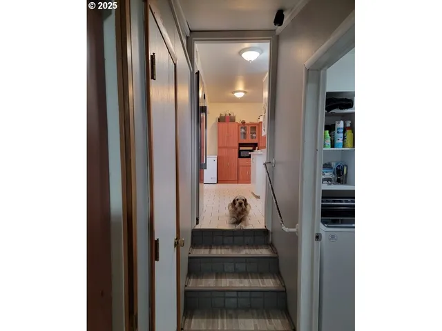 a kitchen with a stove and a refrigerator