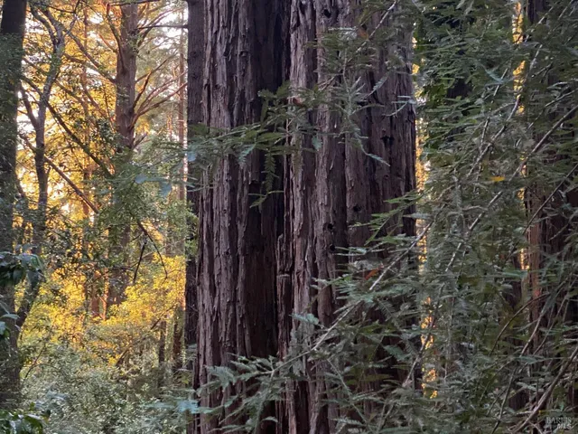 $1,775,000 | 391 San Geronimo Valley Drive, San Geronimo, CA 94963