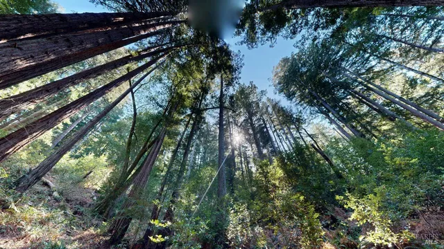 $1,775,000 | 391 San Geronimo Valley Drive, San Geronimo, CA 94963