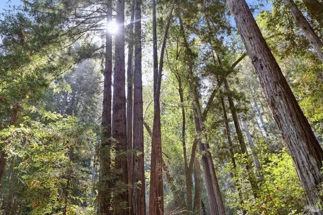 $1,775,000 | 391 San Geronimo Valley Drive, San Geronimo, CA 94963