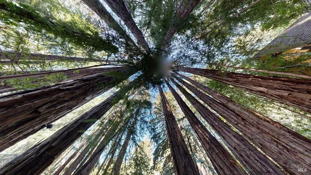 $1,775,000 | 391 San Geronimo Valley Drive, San Geronimo, CA 94963