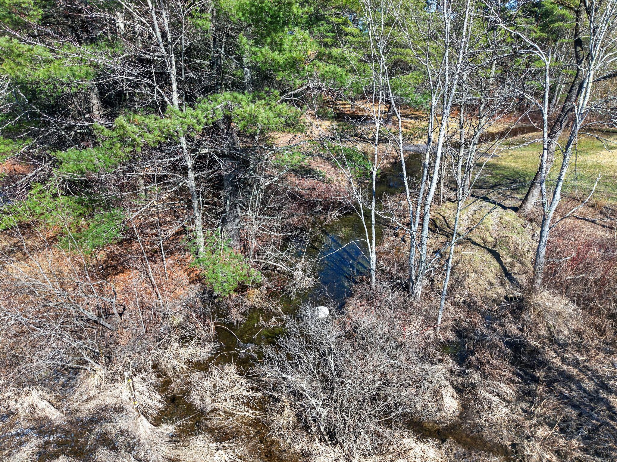 Lot 00000 117th Route Hollis Center, ME 04042 - Photo 11 of 11 Cape_Rd_022