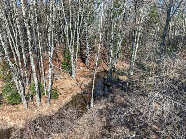 $250,000 | Lot 00000 117th Route, Hollis Center, ME 04042