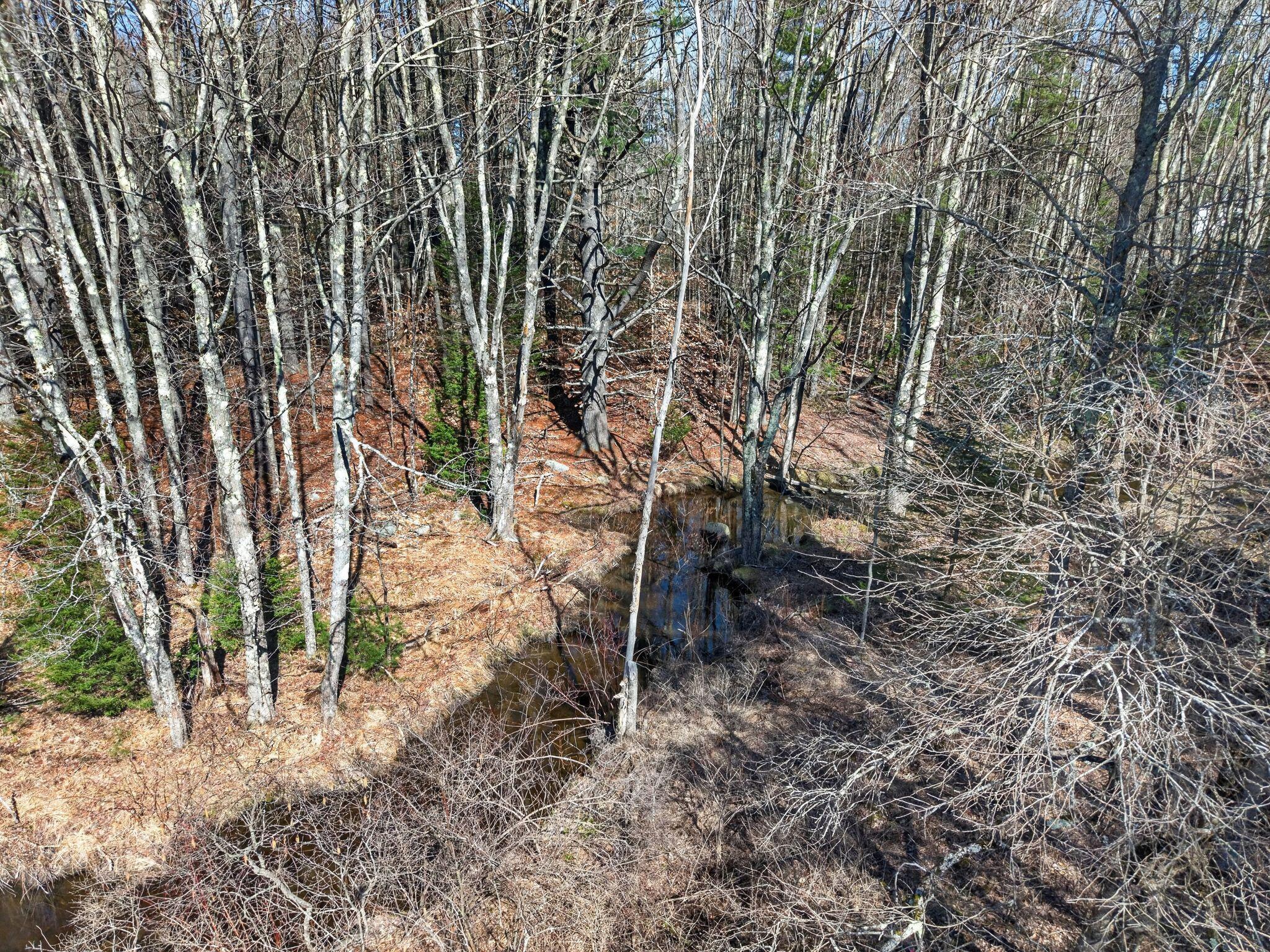 Lot 00000 117th Route Hollis Center, ME 04042 - Photo 10 of 11 Cape_Rd_019