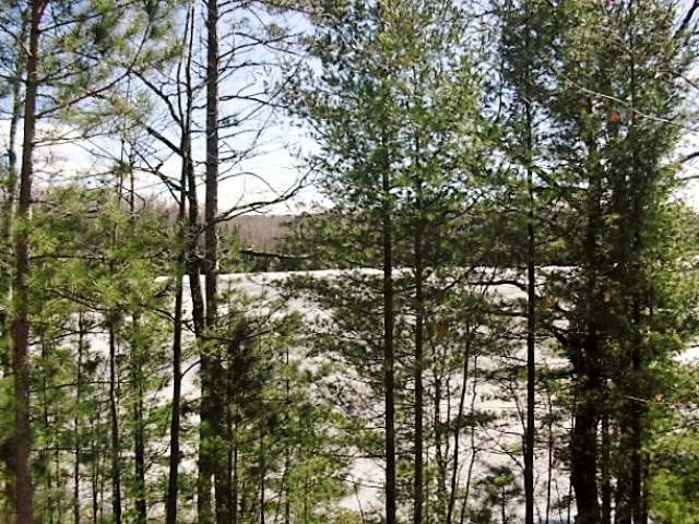 N8607 Marquardt Road Gleason, WI 54435 - Photo 9 of 20 Gallery Image 9