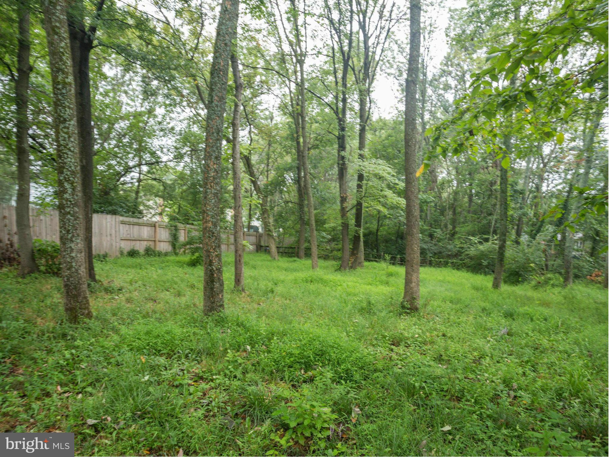 2323 Archdale Road Reston, VA 20191 - Photo 25 of 30 a view of a lush green forest