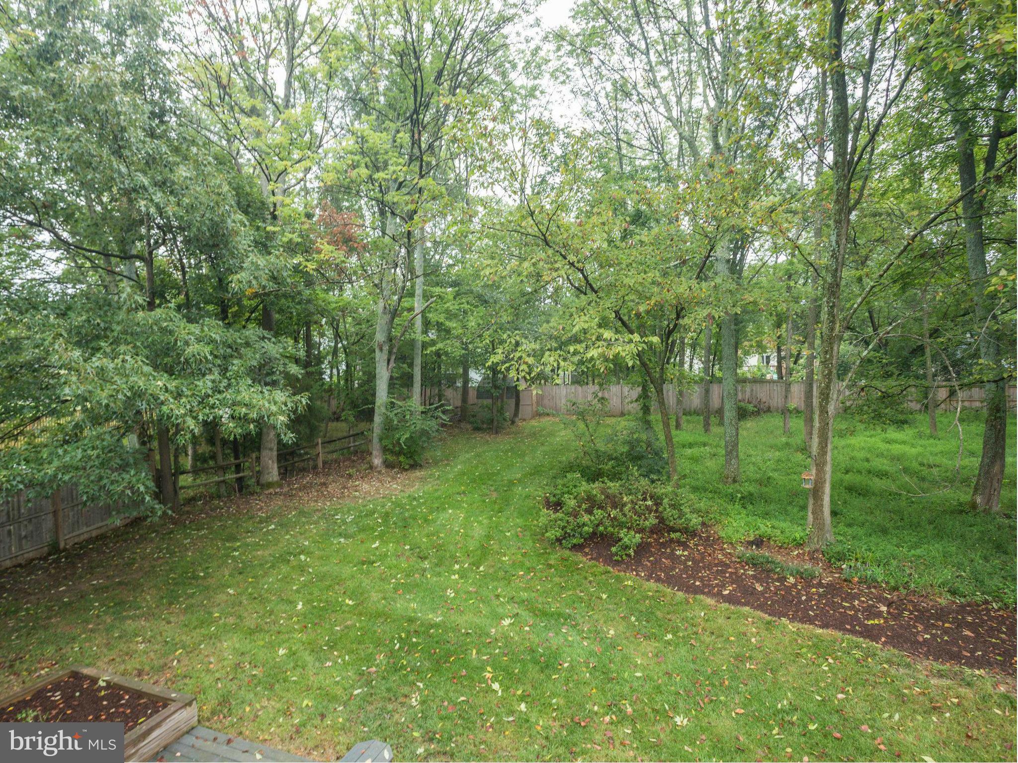 2323 Archdale Road Reston, VA 20191 - Photo 28 of 30 a view of a lush green forest