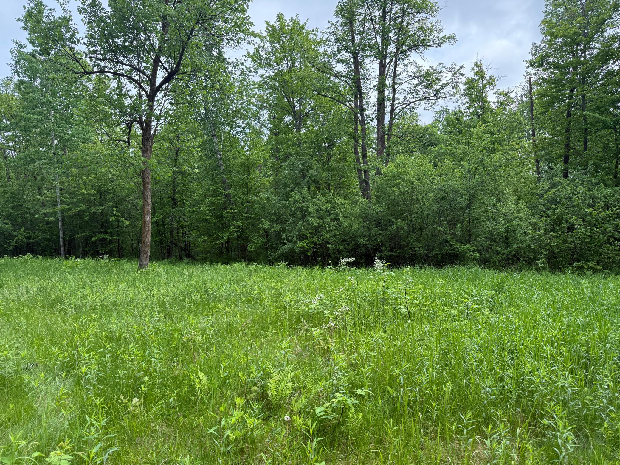 10551 Mallard Road Brook Park, MN 55007 - Photo 11 of 44