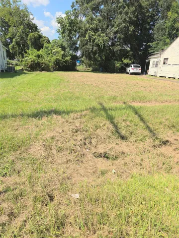 a view of yard with trees