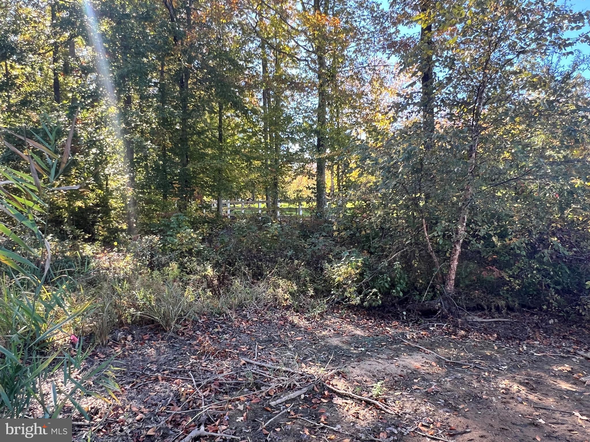 5 Promise Lane Bumpass, VA 23024 - Photo 3 of 20 a view of a forest with trees in the background