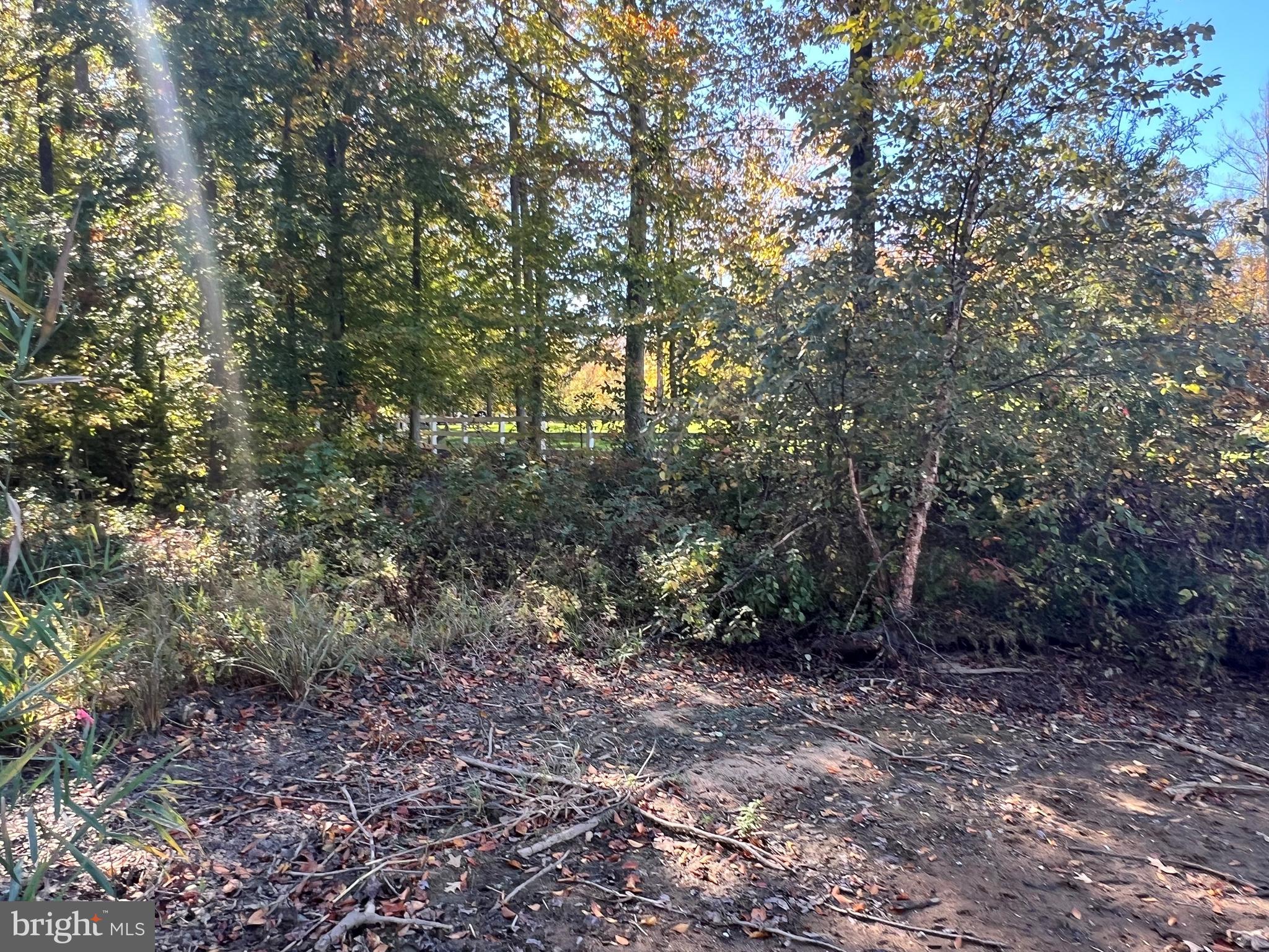 5 Promise Lane Bumpass, VA 23024 - Photo 4 of 20 a view of a forest with trees in the background