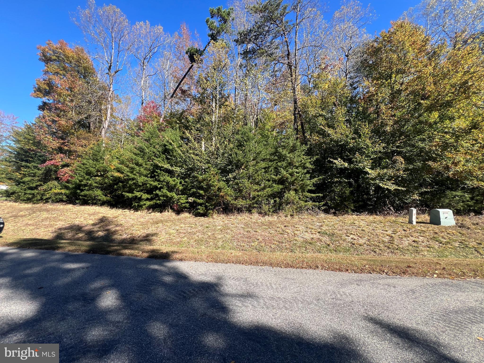 5 Promise Lane Bumpass, VA 23024 - Photo 5 of 20 a view of a yard with plants and trees