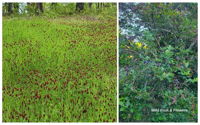 $850,000 | 2907 Mowbray Pike, Soddy Daisy, TN 37379