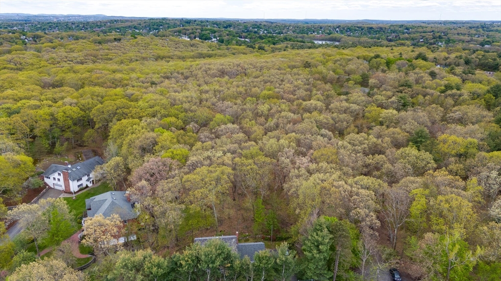 134 Johnson Road Winchester, MA 01890 - Photo 32 of 40 Gallery Image 32