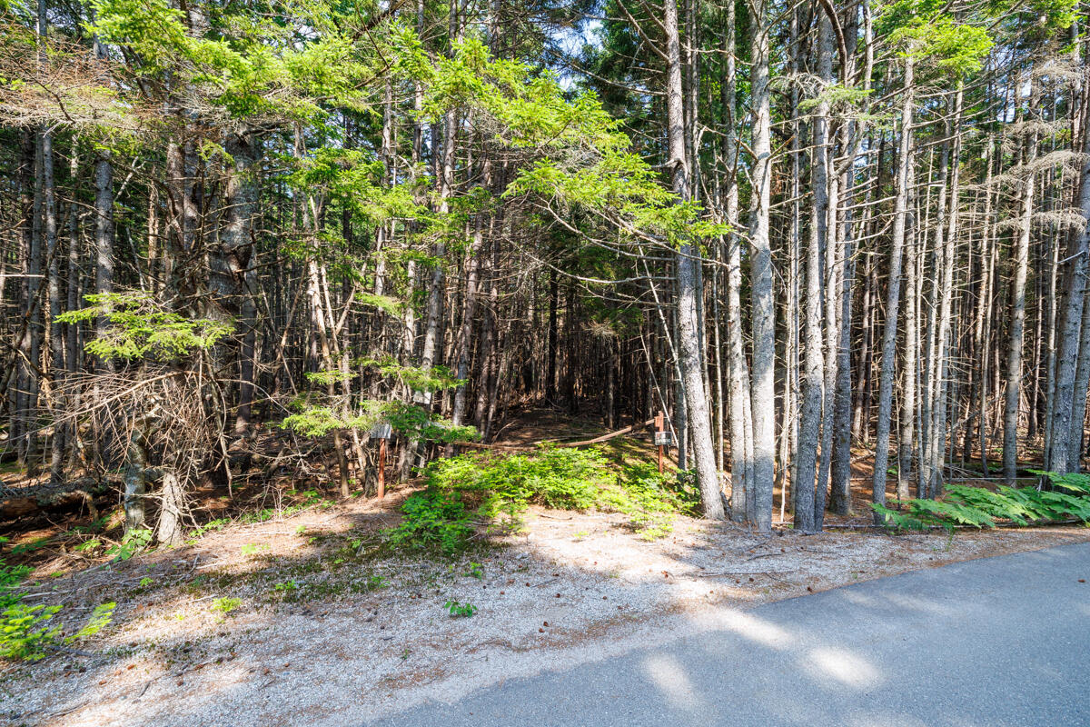 Lot 20 Paul Bunyan Road Corea, ME 04624 - Photo 11 of 12 3-Paul Bunyan Road Land LoRes-DTP