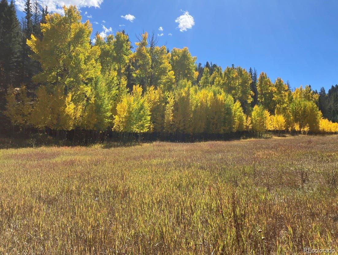 Lot 1 Co Road Westcliffe, CO 81252 - Photo 22 of 42