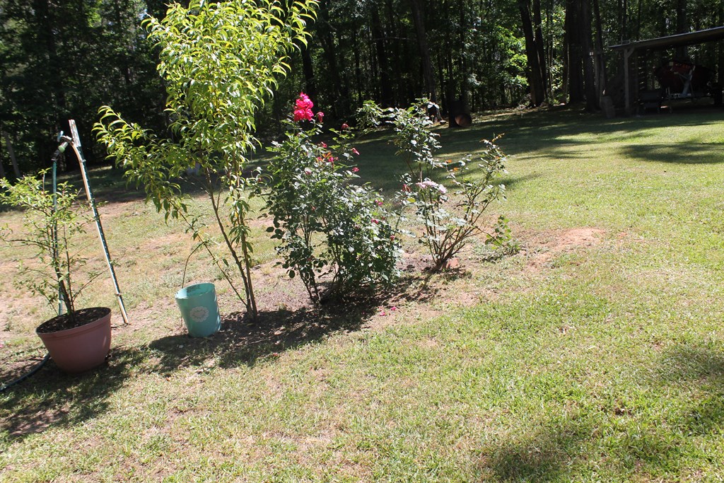 7375 Riverfork Road Waterloo, SC 29384 - Photo 12 of 50