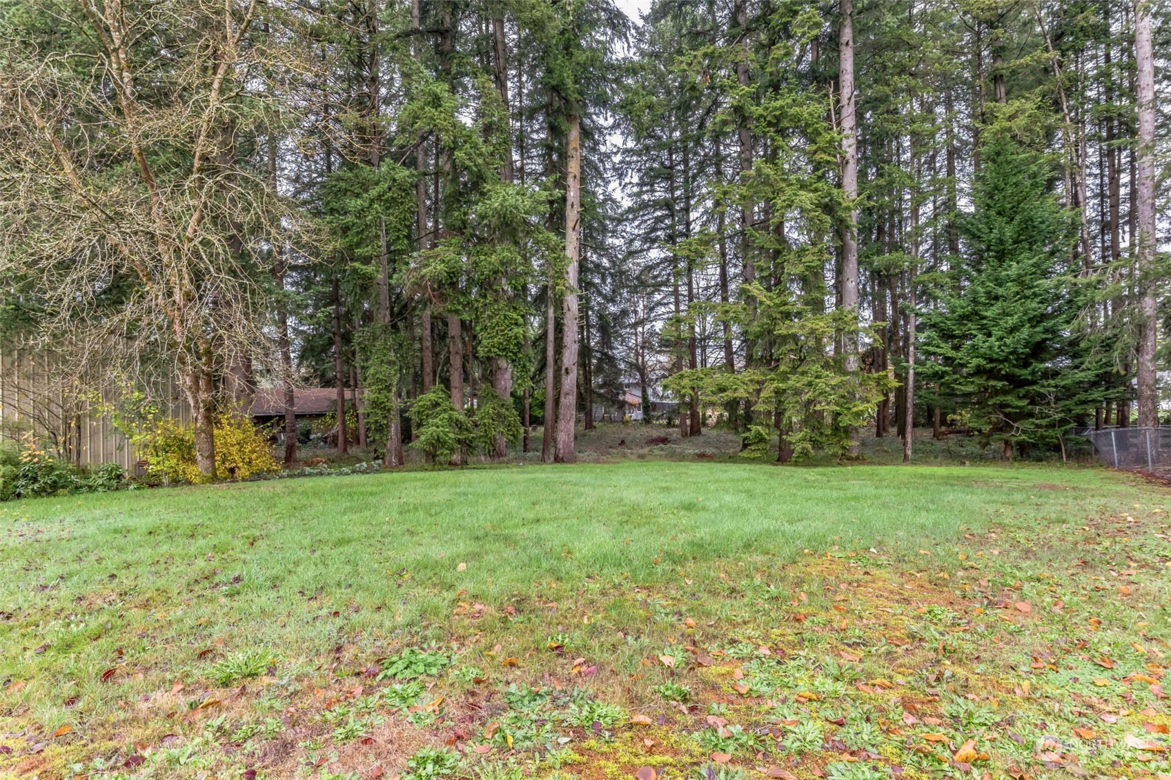 7920 187th Avenue Southwest Rochester, WA 98579 - Photo 26 of 28 a view of a backyard with large trees
