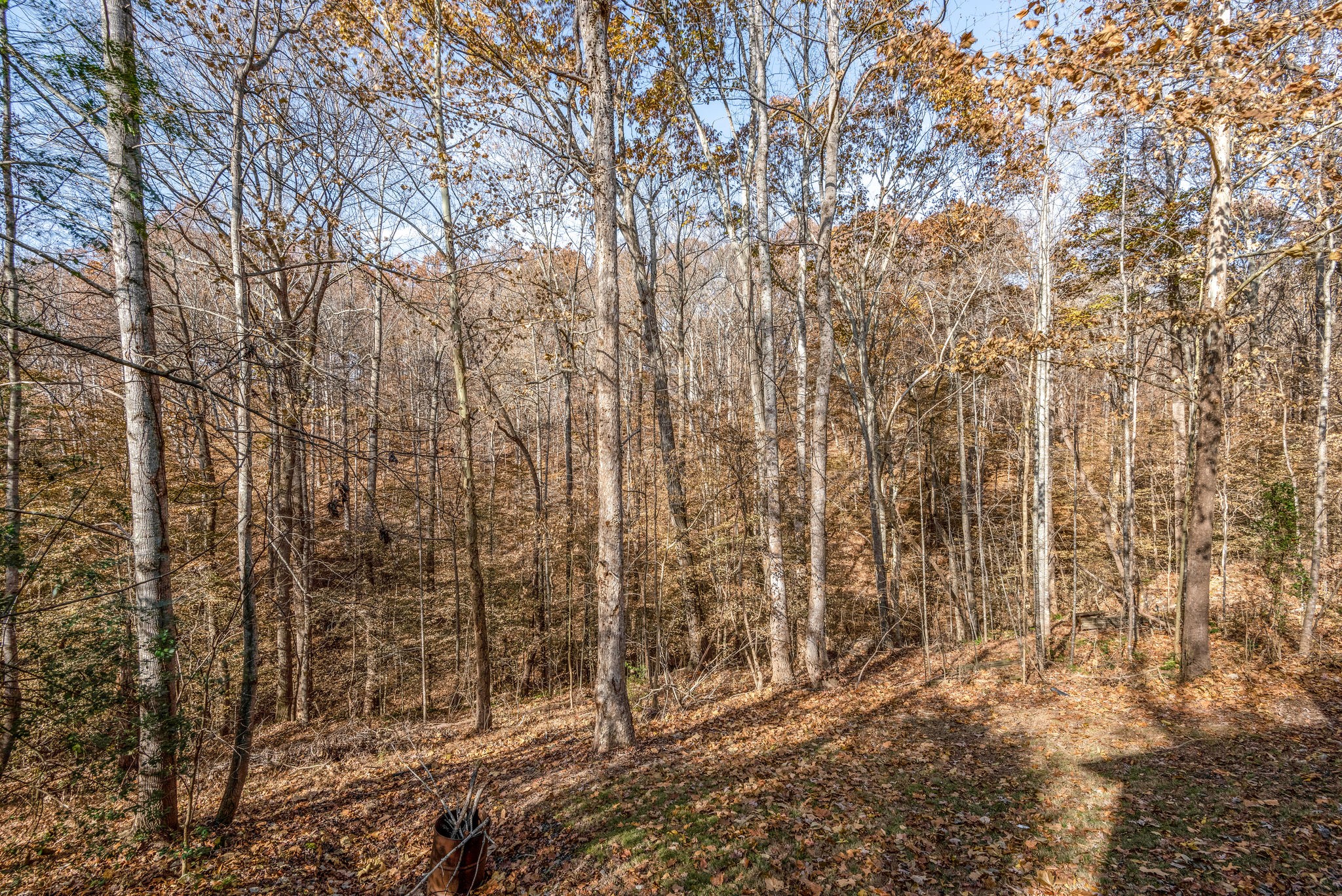 1012 Timber Ridge Court Kingston Springs, TN 37082 - Photo 28 of 28 Gallery Image 28