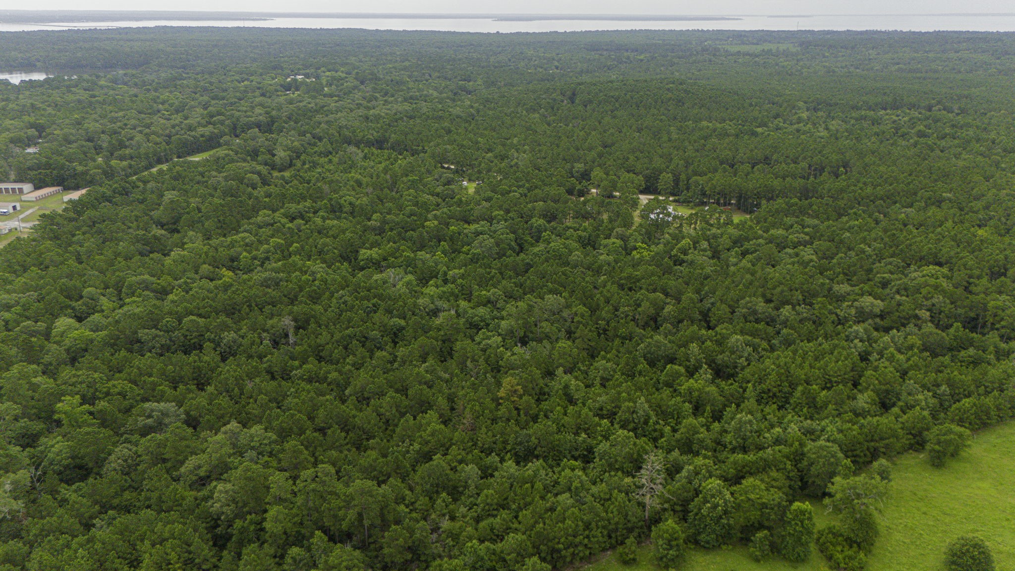 300 Collier Road Point Blank, TX 77364 - Photo 36 of 49 a view of a green field with lots of bushes