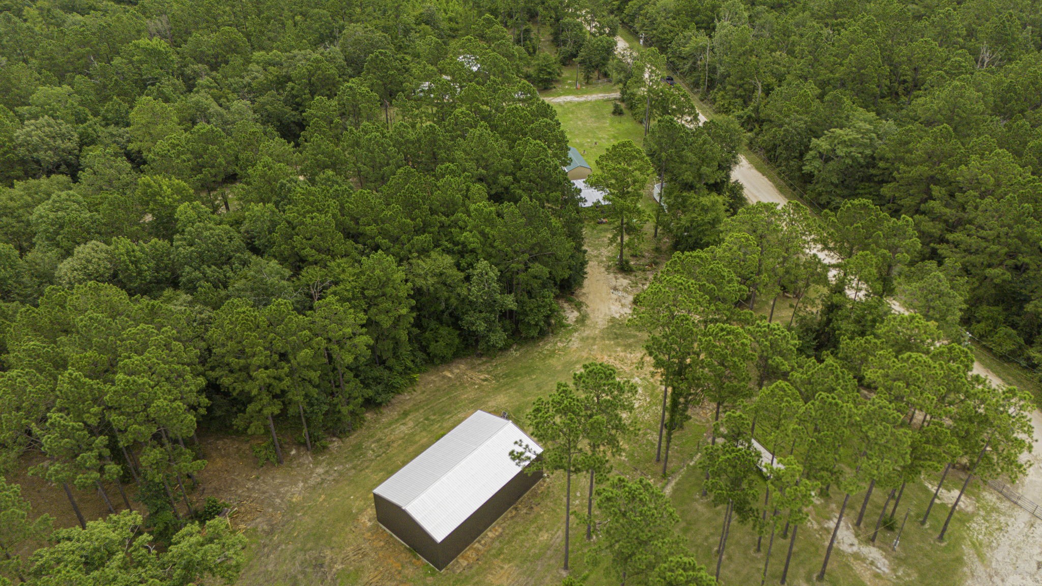 300 Collier Road Point Blank, TX 77364 - Photo 37 of 49 a view of a yard