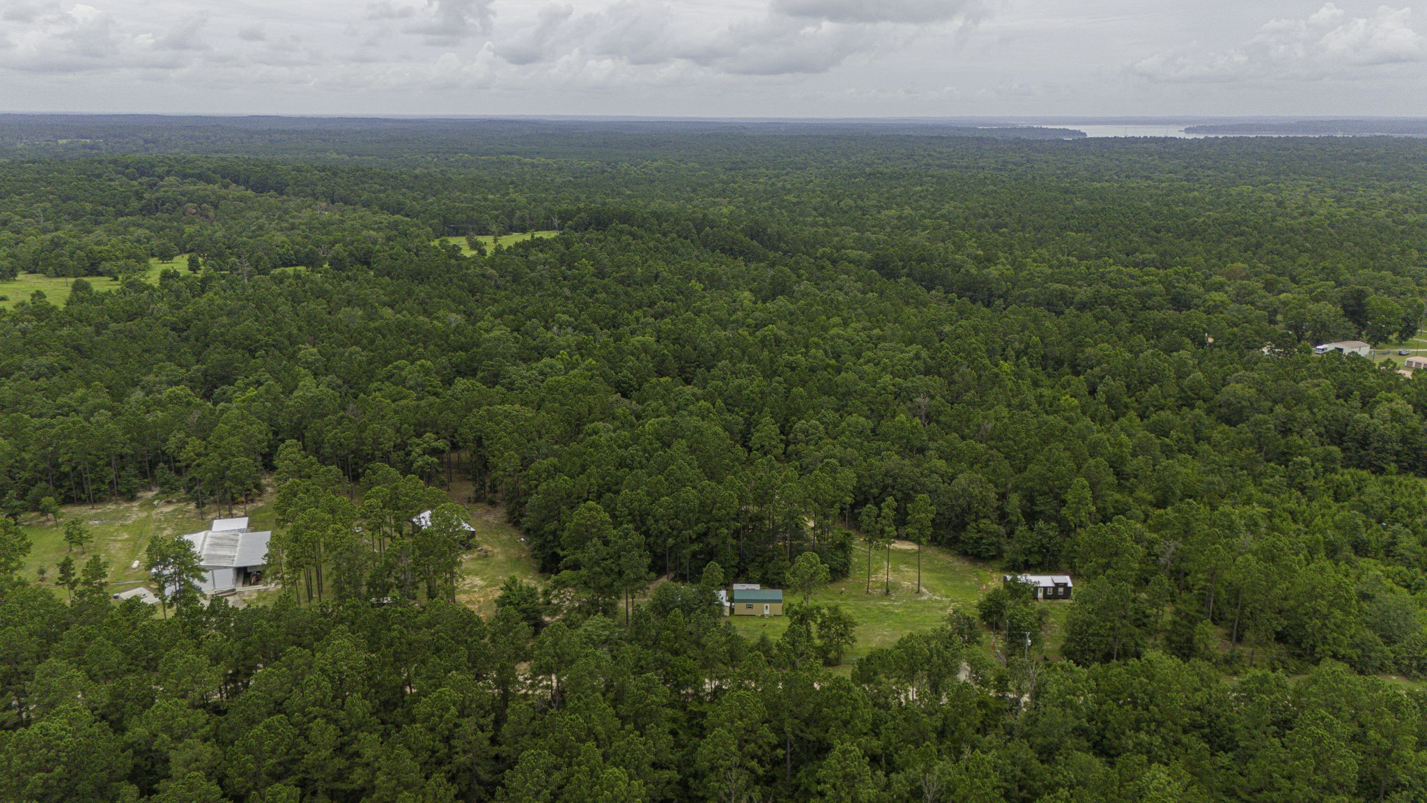 300 Collier Road Point Blank, TX 77364 - Photo 38 of 49 a view of a green field with lots of bushes