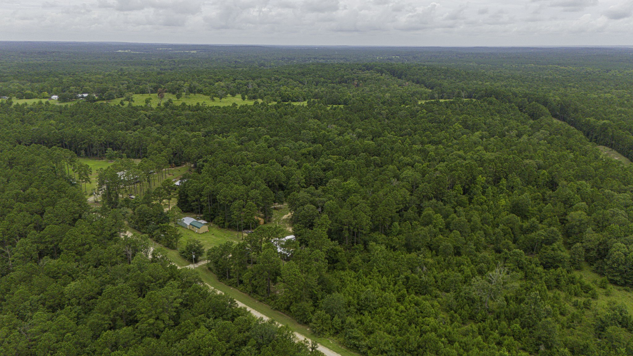 300 Collier Road Point Blank, TX 77364 - Photo 39 of 49 a view of a green field with lots of bushes
