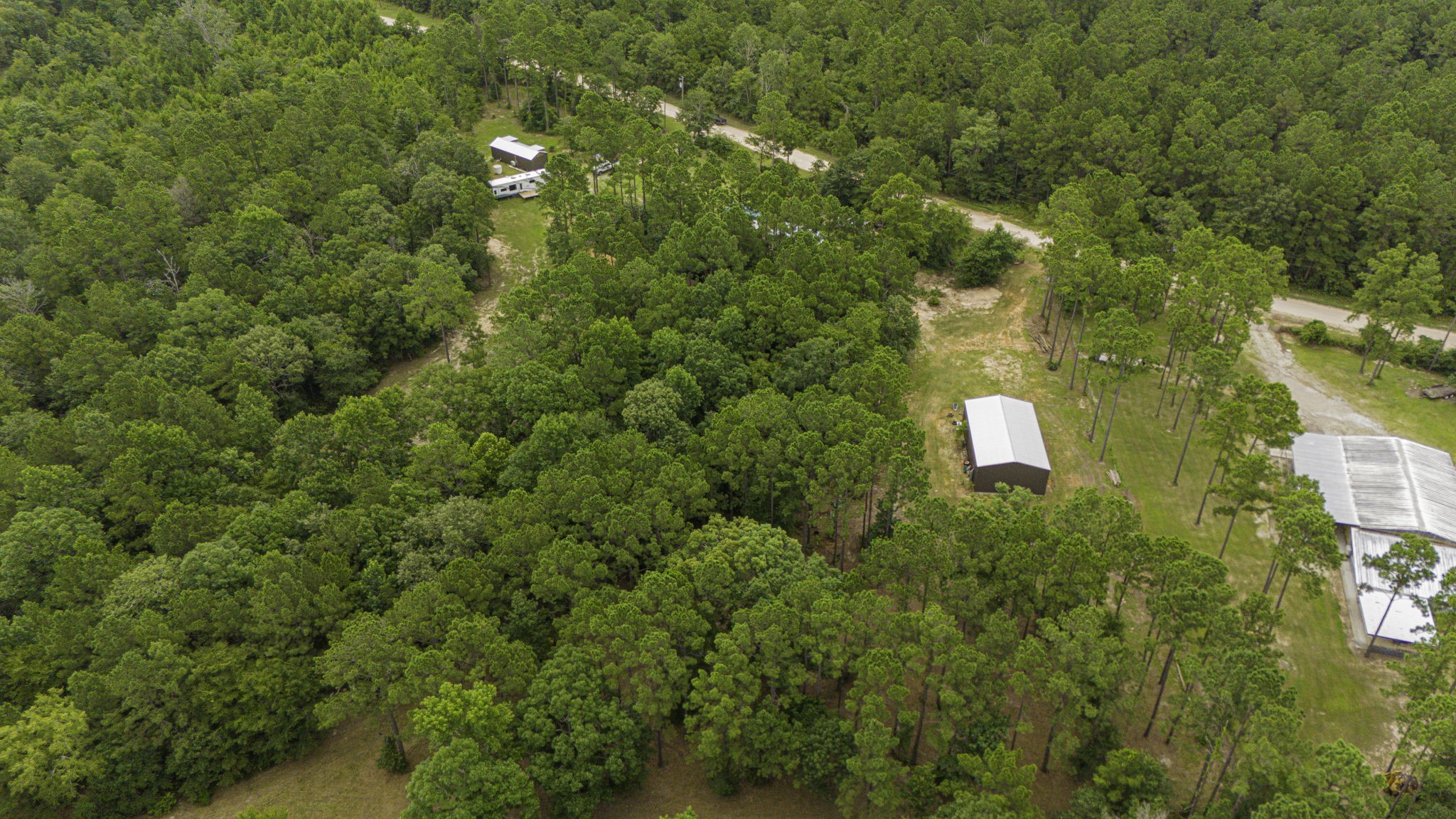 300 Collier Road Point Blank, TX 77364 - Photo 40 of 49 a view of a tree with a house