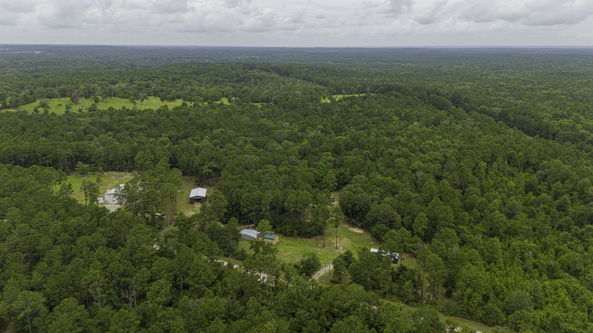 300 Collier Road Point Blank, TX 77364 - Photo 41 of 49 a view of a field with an ocean