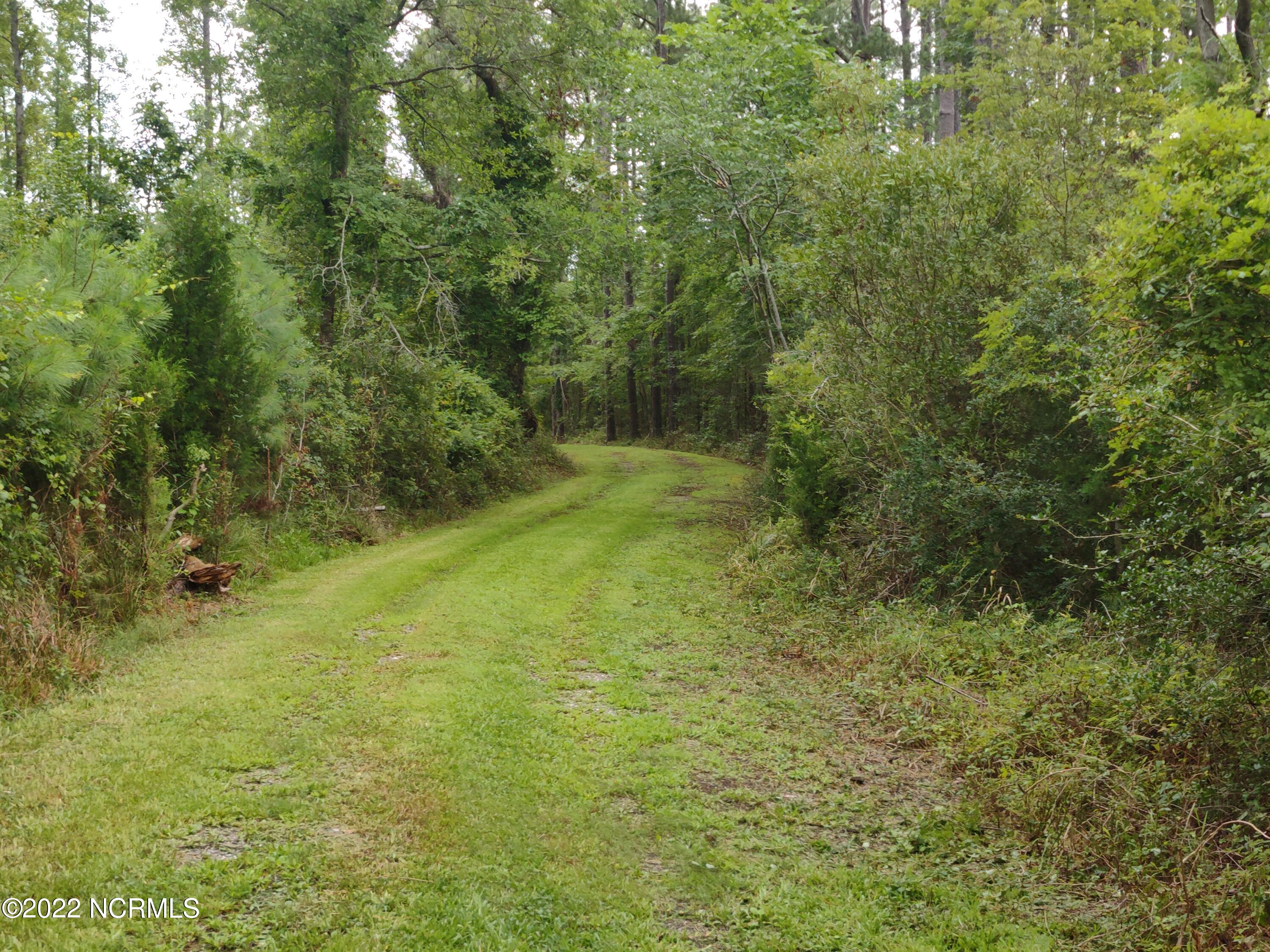 88 Half Moon Road Mesic, NC 28515 - Photo 9 of 36 driveway through property