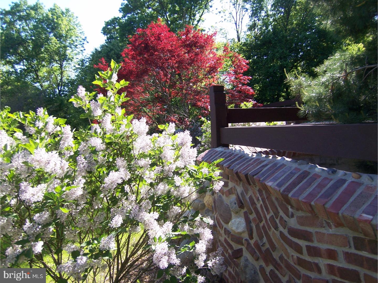 6279 Pidcock Creek Road New Hope, PA 18938 - Photo 14 of 25 a view of a house with a tree