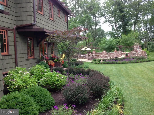 a view of a garden with large trees